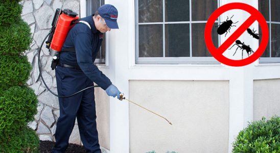 Yamanlar Akrep İlaçlama böcek ilaçlama ve haşere kontrolü — ilaclama-tr.com